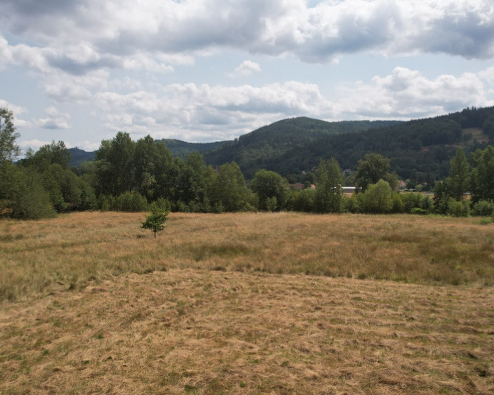 Działka Sprzedaż Piechowice Górzyniec