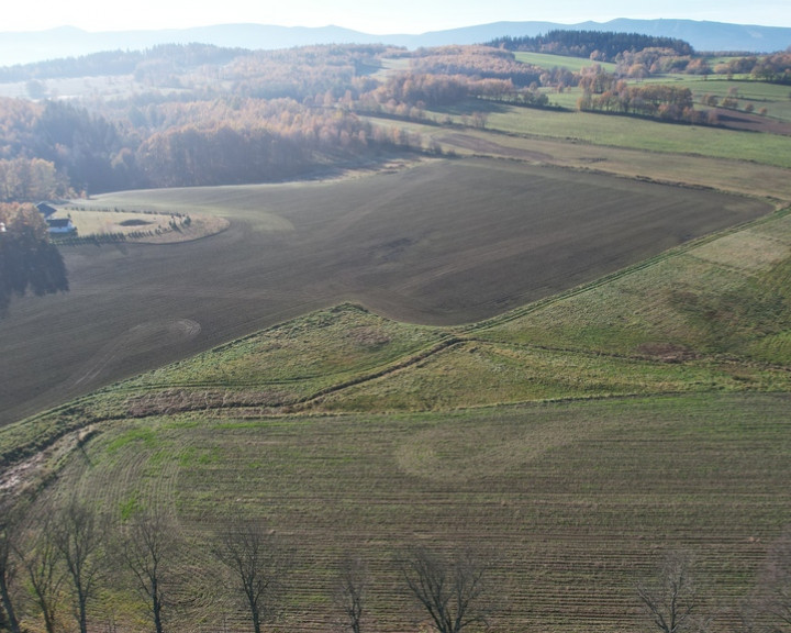 Działka Sprzedaż Jelenia Góra Goduszyn