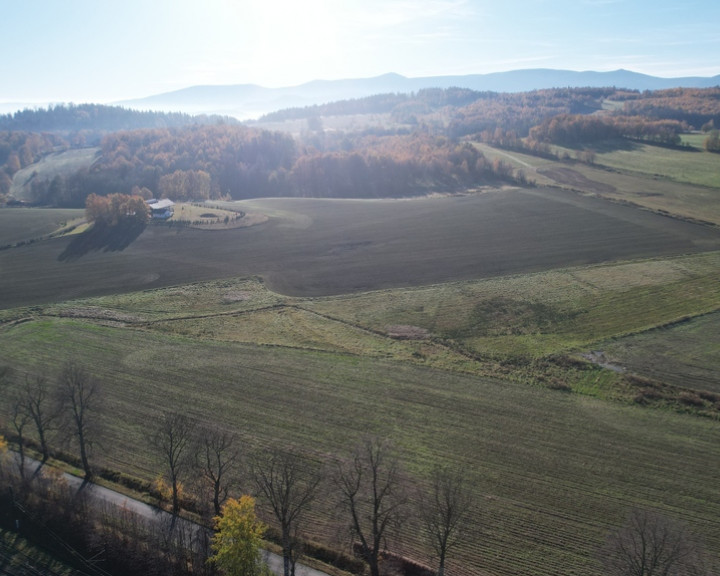 Działka Sprzedaż Jelenia Góra Goduszyn