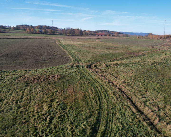 Działka Sprzedaż Jelenia Góra Goduszyn