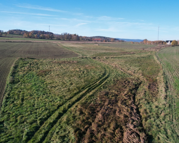 Działka Sprzedaż Jelenia Góra Goduszyn