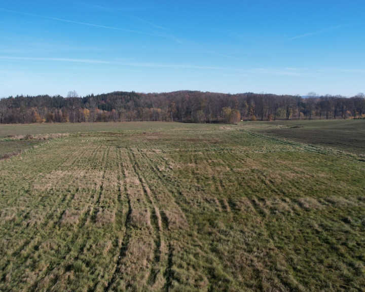 Działka Sprzedaż Jelenia Góra Goduszyn