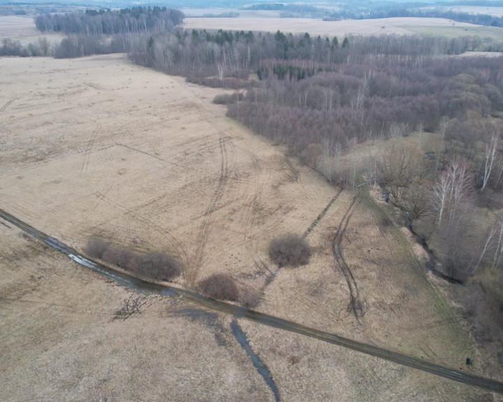Działka Sprzedaż Kwieciszowice