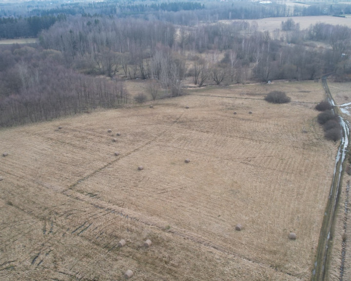 Działka Sprzedaż Kwieciszowice