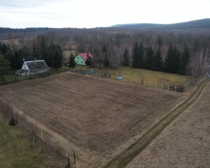 Działka Sprzedaż Kwieciszowice