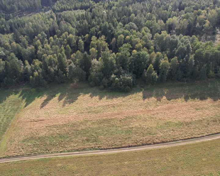 Działka Sprzedaż Dziwiszów