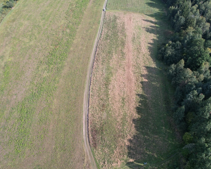 Działka Sprzedaż Dziwiszów