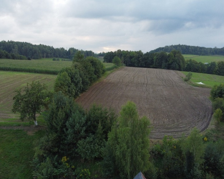 Dom Sprzedaż Strzyżowiec