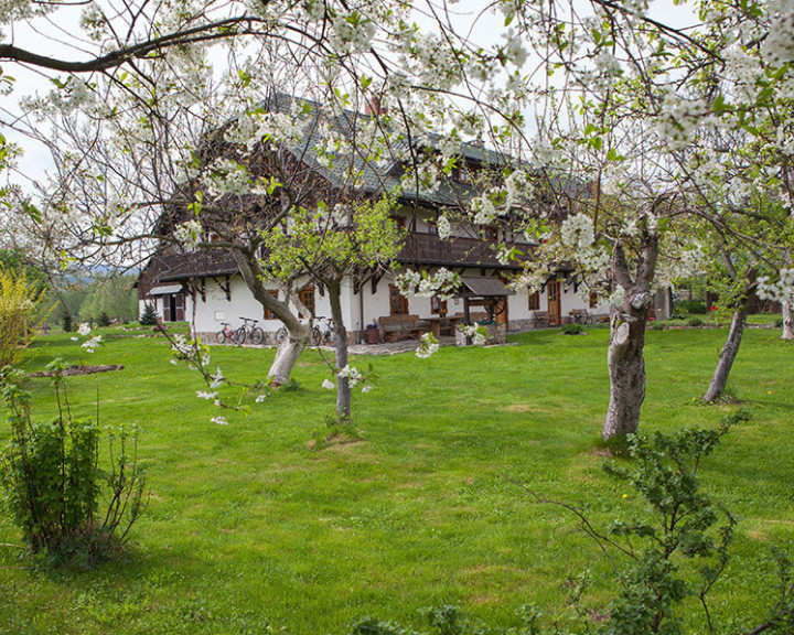 Inwestycja Mirsk