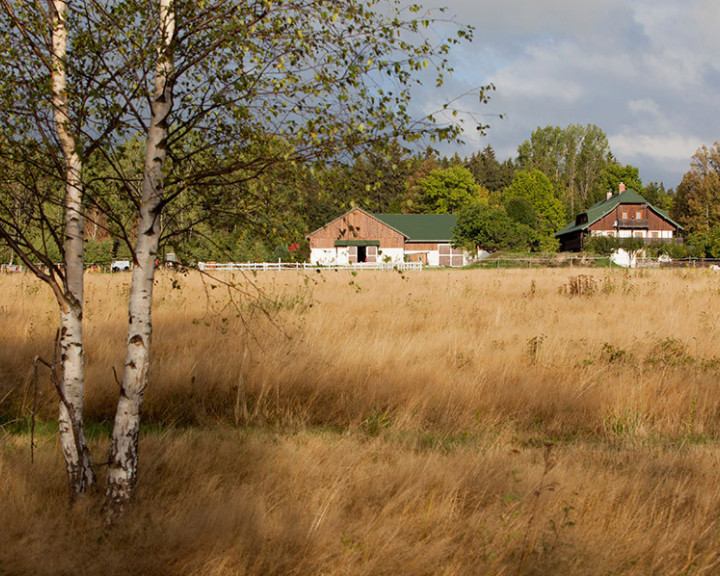 Inwestycja Mirsk