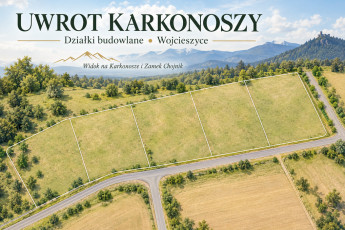 Działka Sprzedaż Wojcieszyce