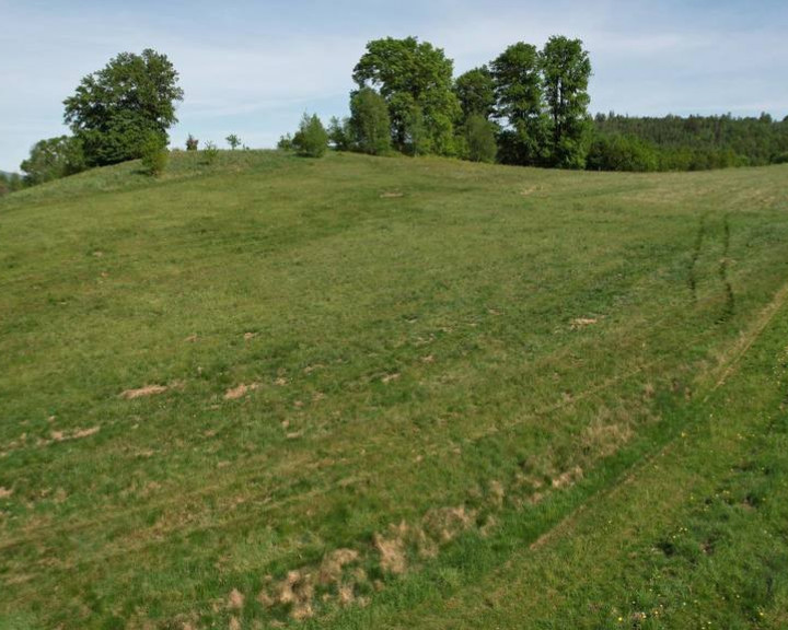 Działka Sprzedaż Barcinek