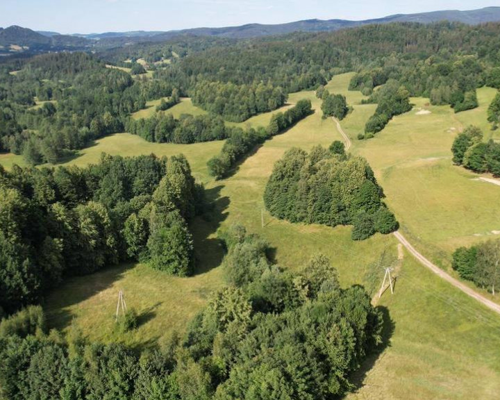 Działka Sprzedaż Bukowiec