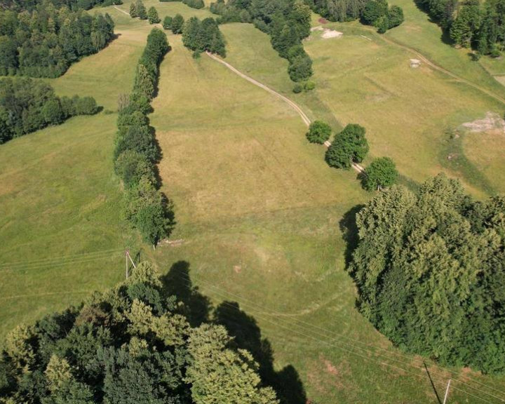 Działka Sprzedaż Bukowiec