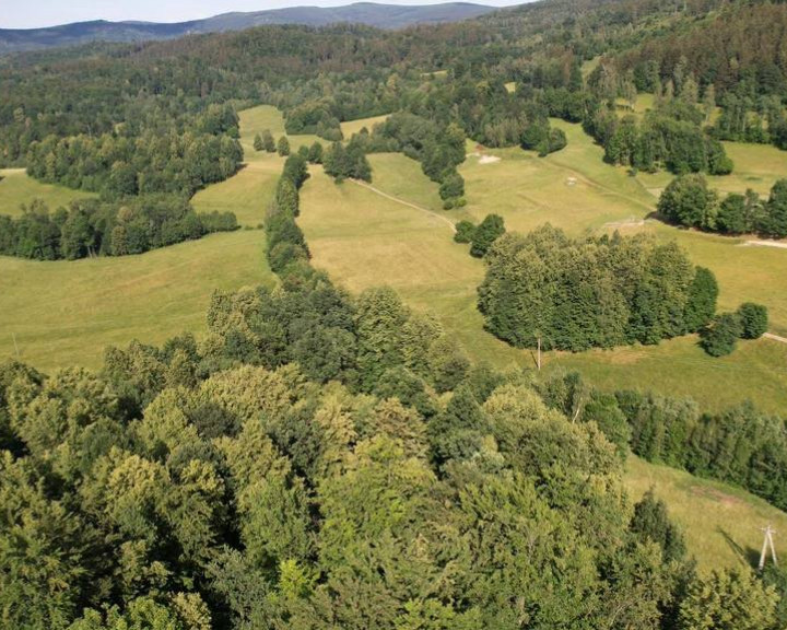 Działka Sprzedaż Bukowiec