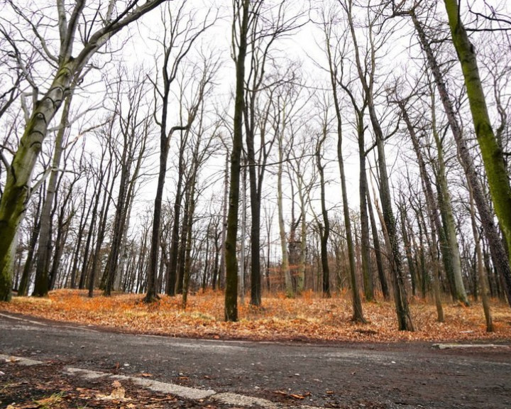 Mieszkanie Sprzedaż Jelenia Góra