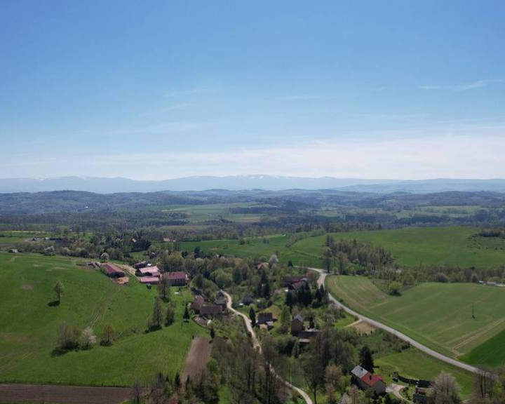 Dom Sprzedaż Strzyżowiec