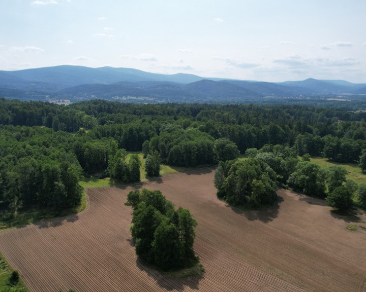 Działka Sprzedaż Staniszów