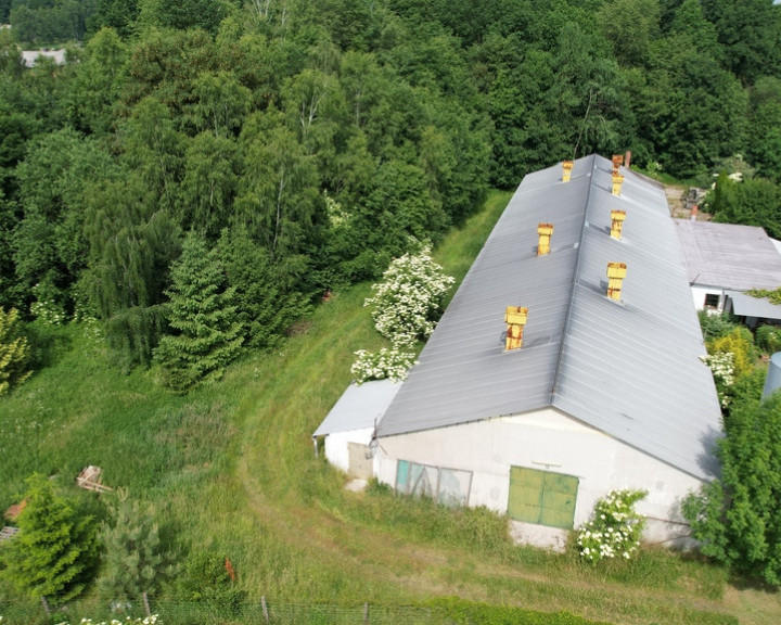 Dom Sprzedaż Jelenia Góra Goduszyn