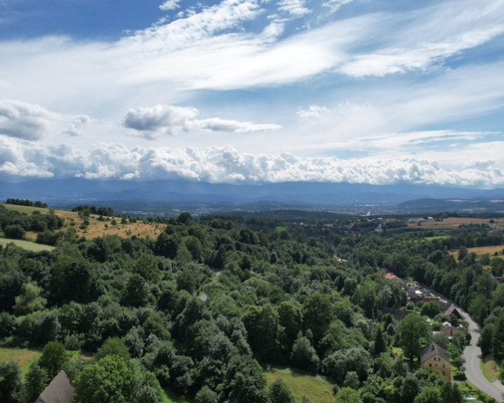 Dom Sprzedaż Dziwiszów