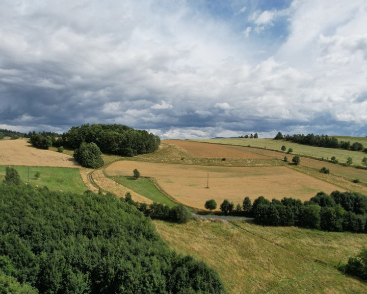 Dom Sprzedaż Dziwiszów