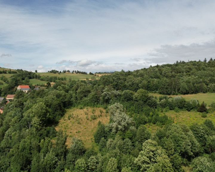 Dom Sprzedaż Dziwiszów