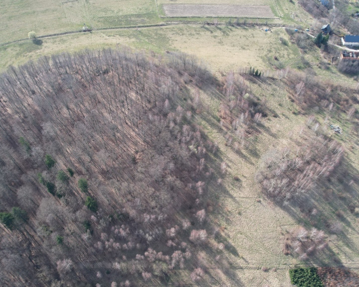 Działka Sprzedaż Siedlęcin