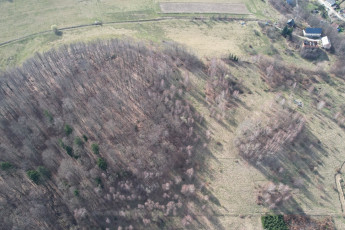 Działka Sprzedaż Siedlęcin