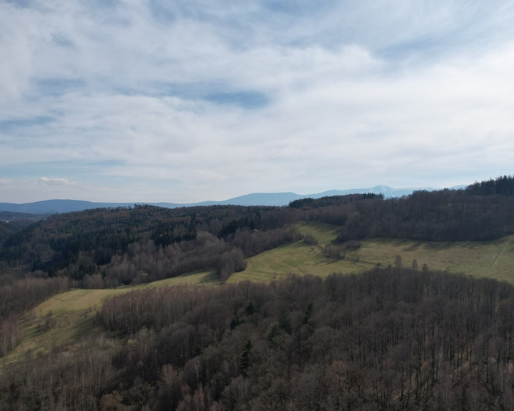 Działka Sprzedaż Siedlęcin