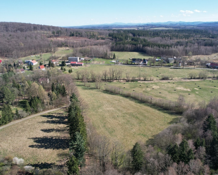 Działka Sprzedaż Muchów