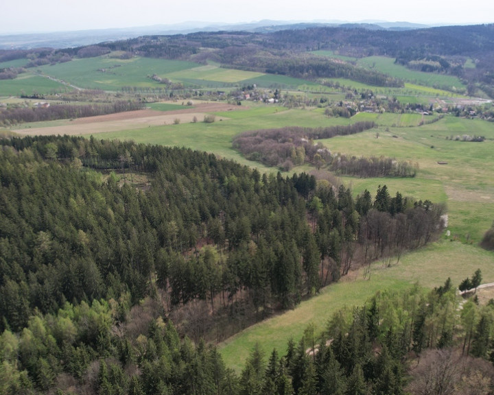 Działka Sprzedaż Radzimowice