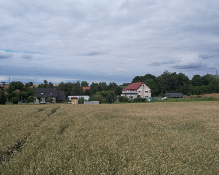 Działka Sprzedaż Lubań